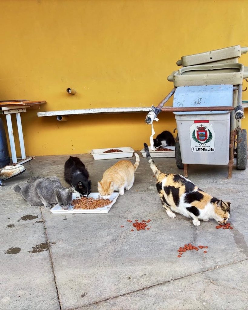 PHOTO-2026-01-15-22-02-54