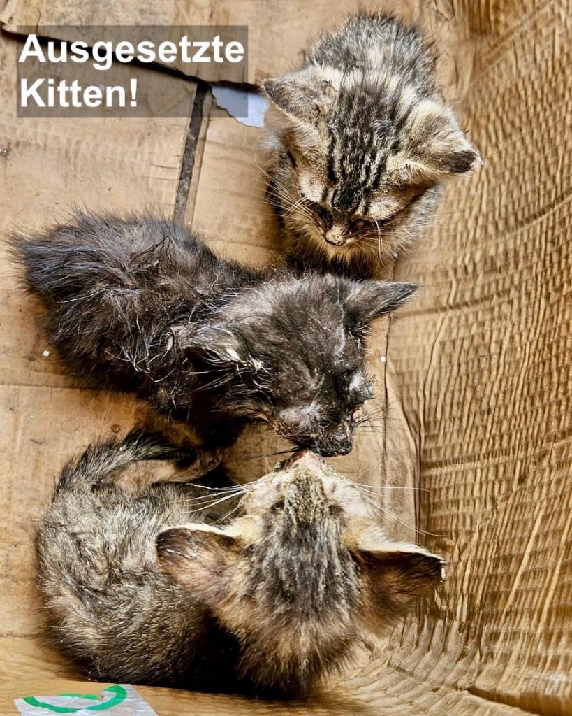 PHOTO-2026-01-15-22-03-22