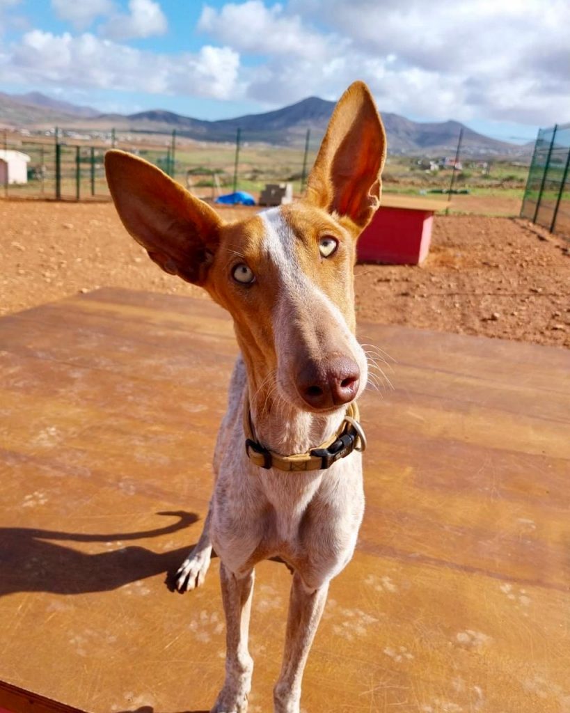 PHOTO-2026-01-22-13-15-21