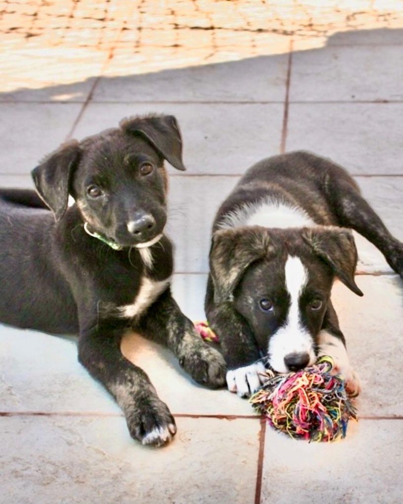 PHOTO-2026-01-22-16-23-02