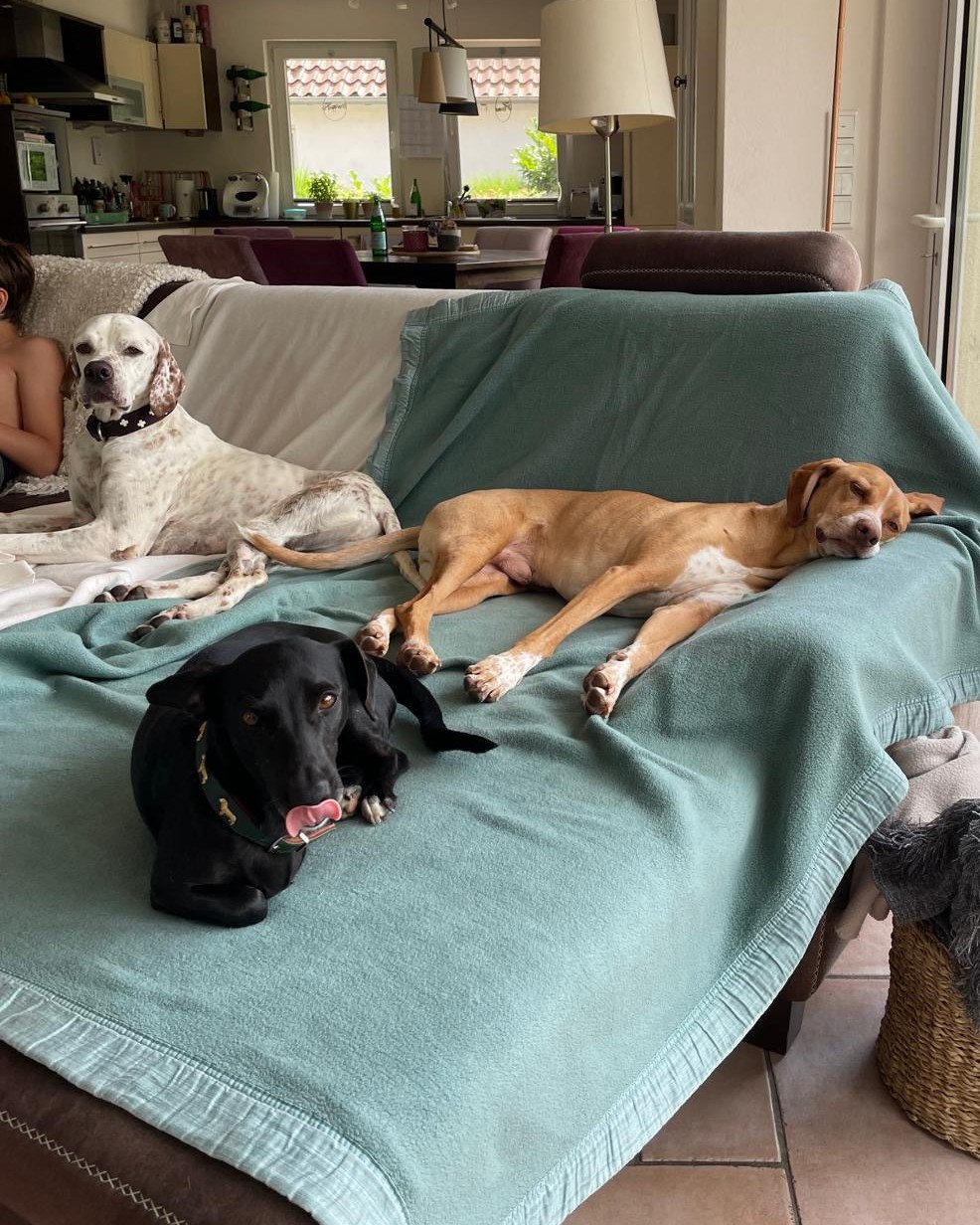 WhatsApp-Bild-2025-09-09-um-13.04.06_510f55d6