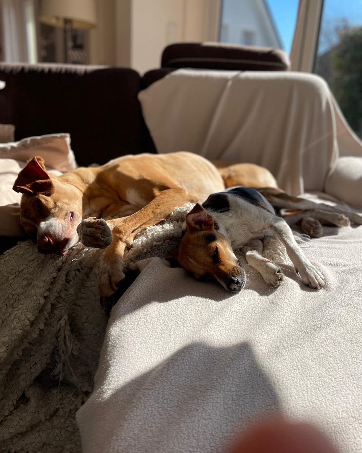 WhatsApp-Bild-2025-09-09-um-13.04.06_6a1d0b33