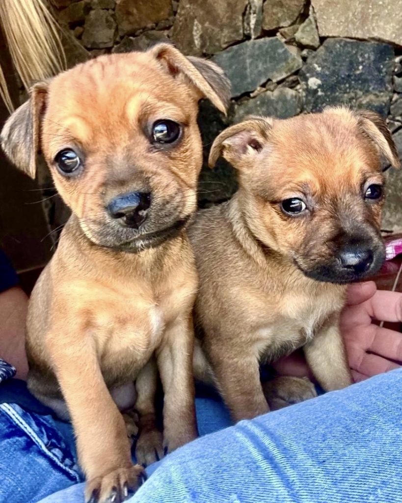 Wärme geben - Liebe schenken