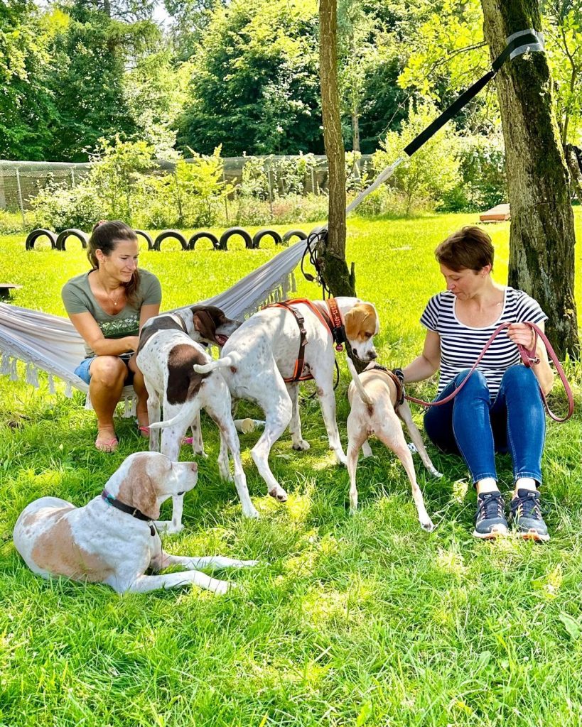 d2093b2f-2b9d-4df6-b857-9f9526f849ab